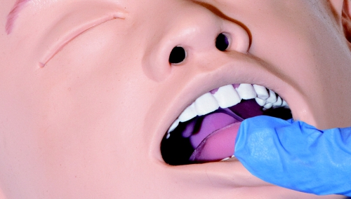 SimJunior action 8