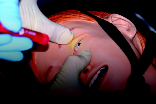 SimJunior action 6
