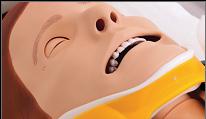 Essential head