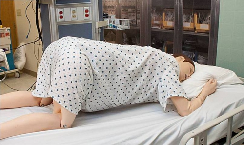 SimMom10