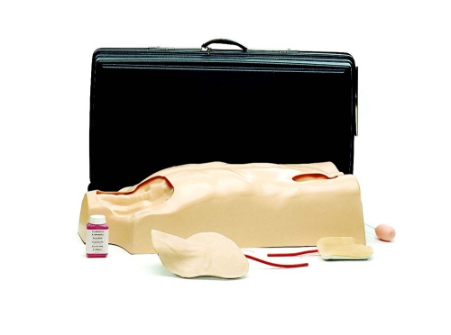 IV Torso
