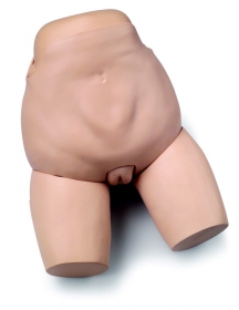 Fundus Skills Assessment Trainer